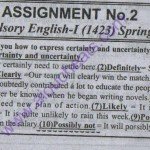 English 1423 Spring 2014 Free Solved Assignment BA / BS